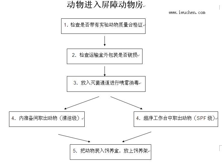 ����������϶��﷿