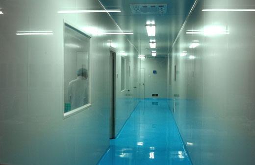 GMP��������Ҫ��