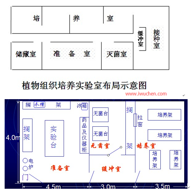 ��֯����ʵ���Ҳ���ͼ