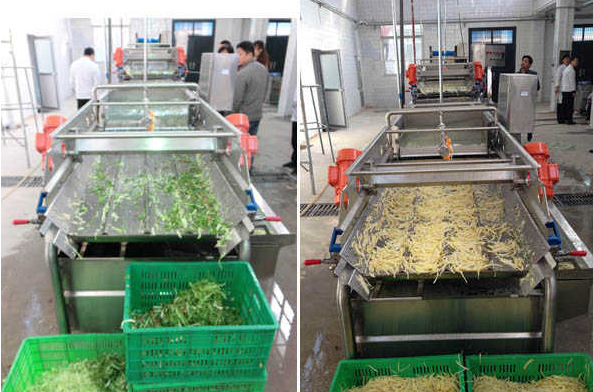 ���������������Ӫ���ֲ�