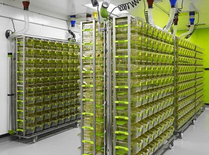 ʵ�鶯�﷿����|spf���﷿|�ྻ���﷿������Ʒ���